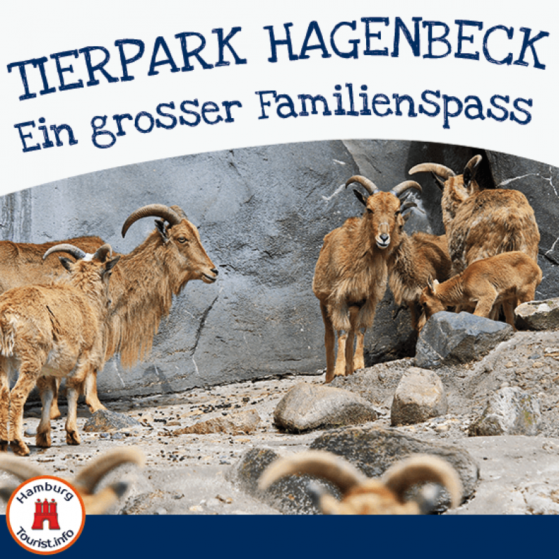 Adresse Hagenbecks Tierpark